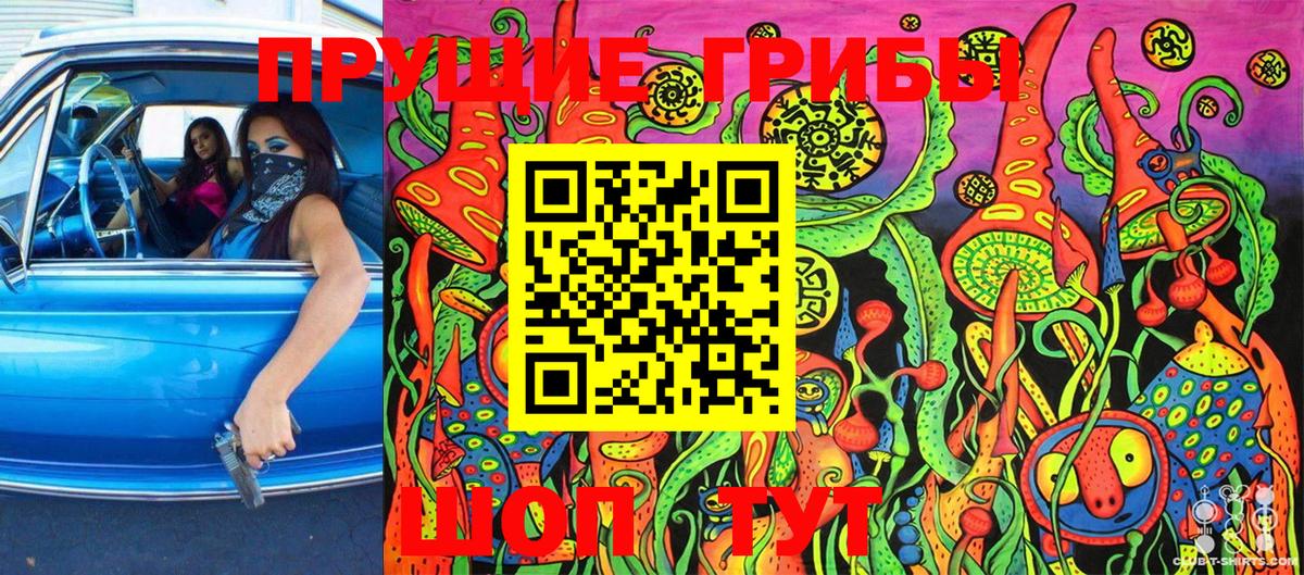 Луга  Псилоцибиновые грибы GOLDEN TEACHER  Вход с VPN 
