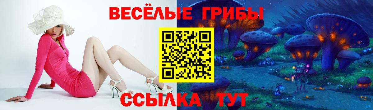 Галлюциногенные грибы прущие грибы Луга